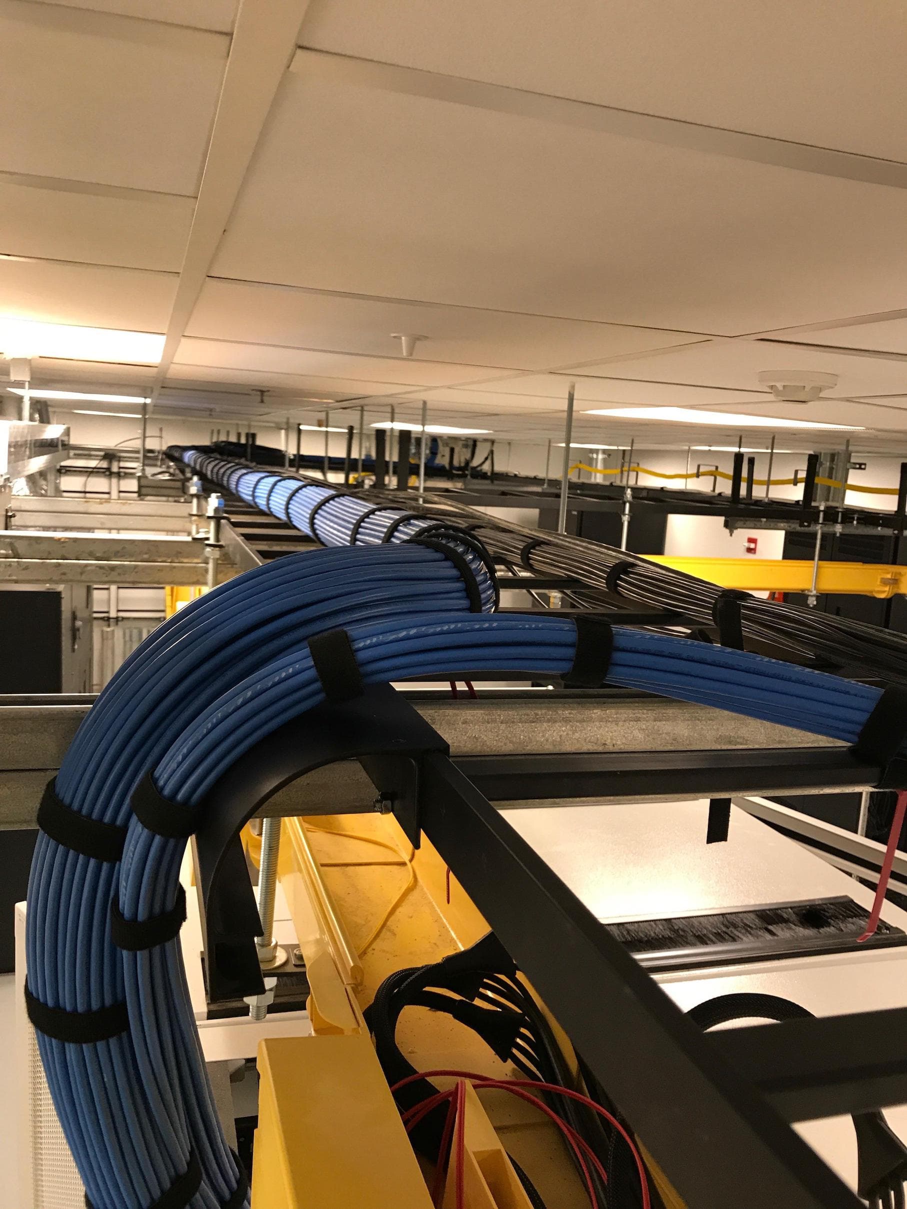 Neatly bundled data cables in a data center